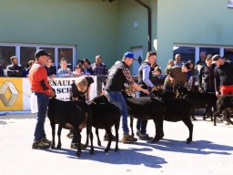 2019_ausstellung polling_268